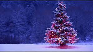 ALBERO INNEVATO
