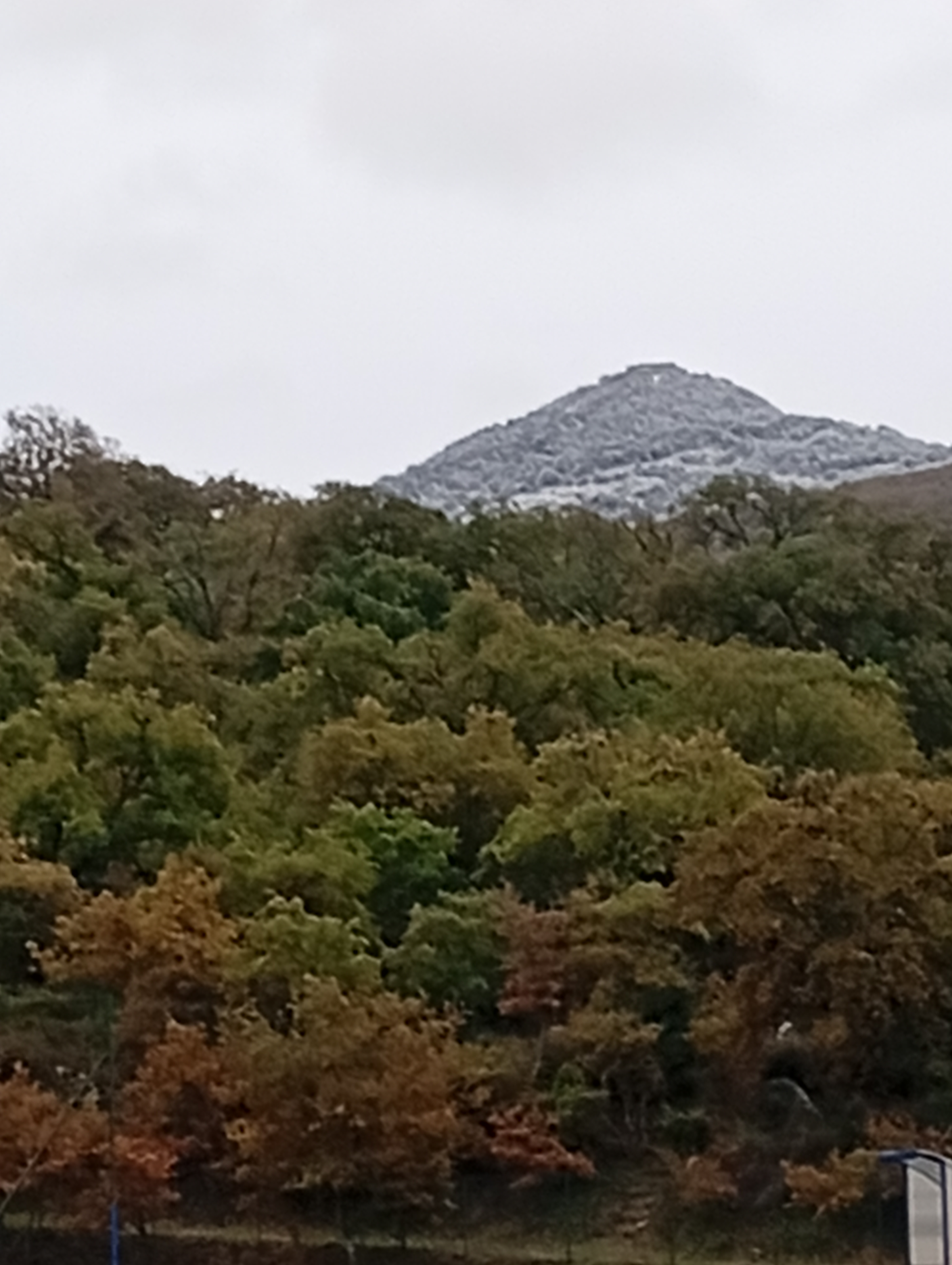 NEVE
